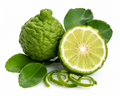 Bergamot