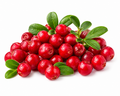 Red Barries
