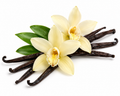 Vanilla